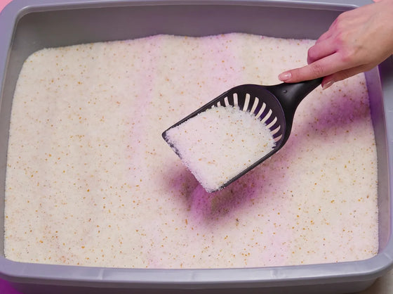 &Eacute;tape 2 : Remuer les cristaux