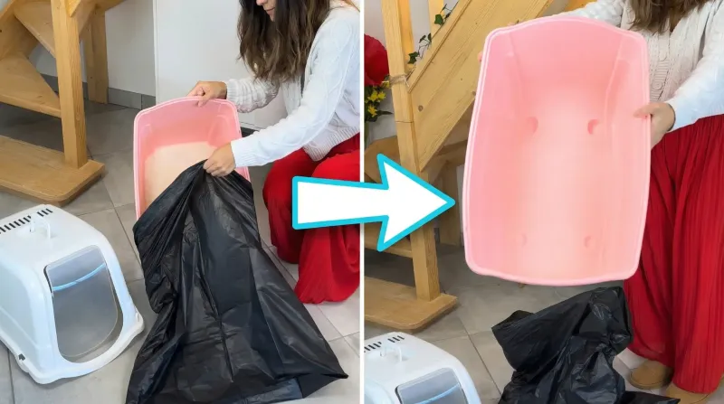 Transition mensuelle du sac